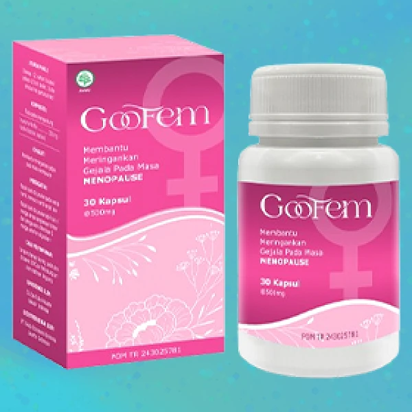 GOOFEM