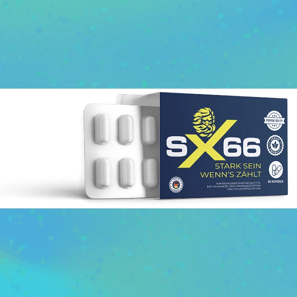 SX 66
